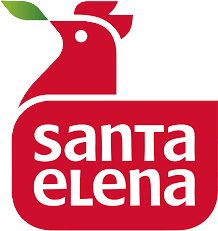 Grupo Santa Elena logo